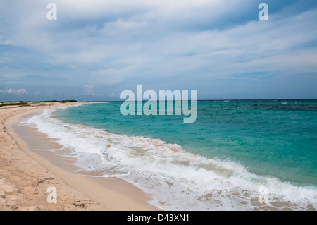 Wellen schlagen Beach, Aruba, kleine Antillen, Karibik Stockfoto