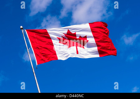 Kanadische Flagge winken gegen Blye Himmel, Halifax, Nova Scotia, Kanada Stockfoto