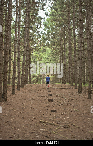 Junge Weg im Wald, Newmarket, Ontario, Kanada Stockfoto