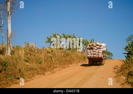 LKW beladen mit Taschen von Maniok oder Maniok hinunter einen Feldweg in Kambodscha Stockfoto