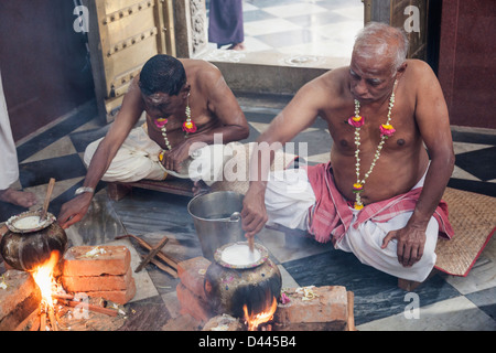 Yangon, Myanmar, Shri Kali hinduistischer Tempel, Priester kochenden Reis während Pongol Festival Stockfoto