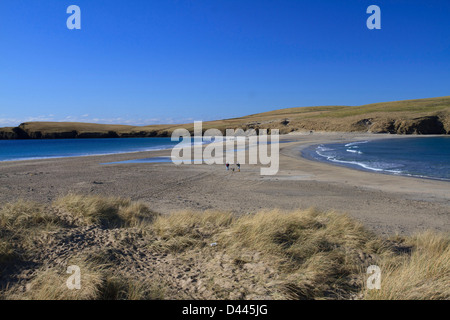 Ein Blick auf den Sand Tombolo verbindet St. Ninian Isle nach Süden Mainland, Shetland Inseln, Schottland Stockfoto
