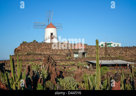 Jardin de Cactus Kaktusgarten Guatiza, Lanzarote, Kanarische Inseln, Spanien Stockfoto