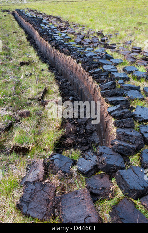 Frisch geschnitten Sie Torf Grassoden auf Moorland im Westen Lewis, äußeren Hebriden Trocknen gelegt. Stockfoto