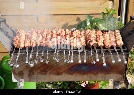Geröstete Schaschlik auf dem Grill. Stockfoto
