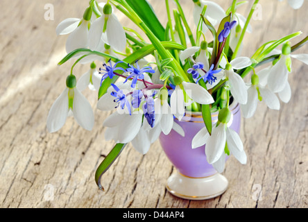 Schneeglöckchen schönen Blumenstrauß in einer Vase auf holzigen Hintergrund Stockfoto