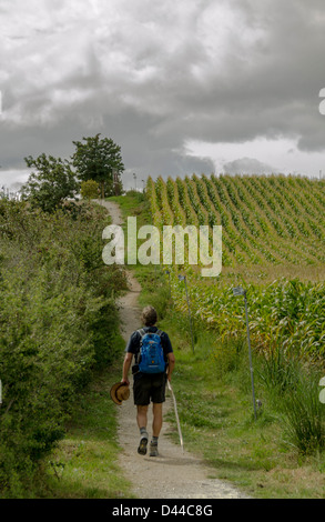 Pilger geht an Way of St. James, Navarra, Spanien Stockfoto