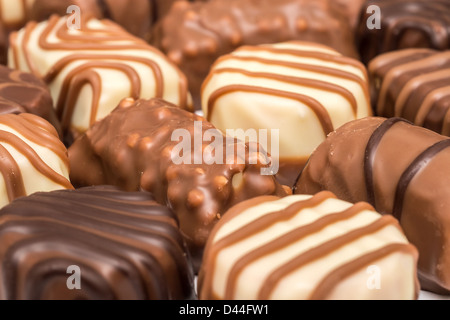 Schokoladenbonbons Stockfoto