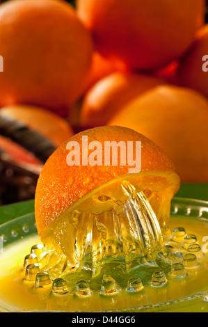 Orange Entsafter mit frisch gepressten Saft und Korb mit Orangen in sonnigen Gartenterrasse im freien Fall Stockfoto
