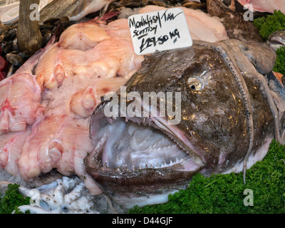 Seeteufel Zähne, Mund Schottischen auf der Fischhändler Borough Market Southwark London UK Abschaltdruck Stockfoto