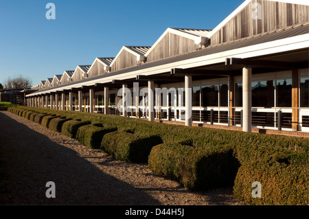 Außenseite der Struktur für die Überreste von Fishbourne Roman Palace in der Nähe von Chichester, West Sussex, UK Stockfoto