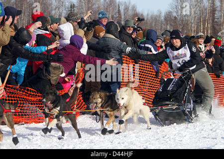 4. März 2013 - Willow, Alaska, USA - 2012 Iditarod Champion DALLAS SEAVEY grüßt Fans, wie er seinem Hundeteam auf der Rutsche beim Neustart des Iditarod Trail Sled Dog Race in Willow fährt. (Kredit-Bild: © Al Grillo/ZUMAPRESS.com) Stockfoto