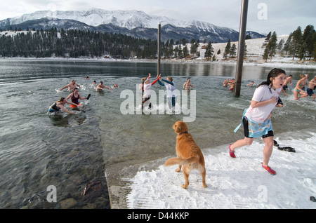 Jährliche Neujahrs Tag "Polar Bear Plunge," Wallowa Lake, Oregon. Stockfoto