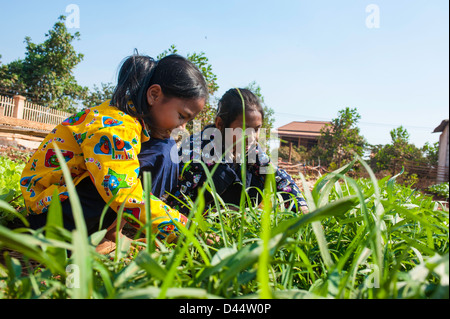 Kambodschanische Mädchen arbeiten in einen Schulgarten in Banlung, Kambodscha Stockfoto