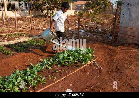 Kinder, Garten Bewässerung Schule Schüler in Banlung, Ratanakiri Kambodscha. Stockfoto