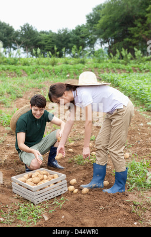 ein paar in einer Farm mit einem Korb von Kartoffeln Stockfoto