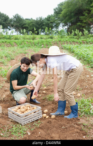 ein paar in einer Farm mit einem Korb von Kartoffeln Stockfoto