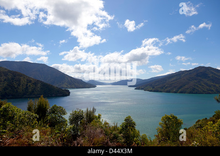 Marlborough sounds Neuseeland Südinsel von Neuseeland Stockfoto