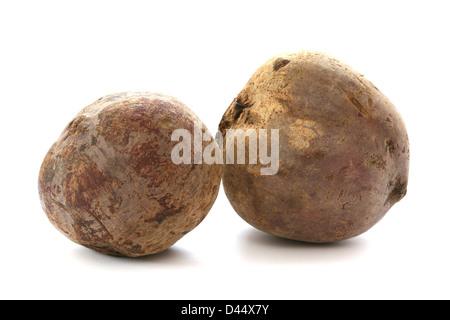 Zwei ganze rote Beete, auch genannt Rote Beete auf weißem Hintergrund Stockfoto
