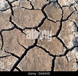 Chemische cracken Lehmboden in einem indischen See bed Muster. Indien Stockfoto