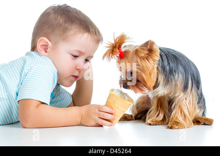 junge Kind füttern Hund isoliert auf weißem Hintergrund Stockfoto