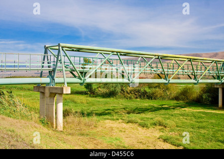 Metall Fußgängerbrücke über ein grünes Tal in Agamon Hula Nationalpark in Israel Stockfoto