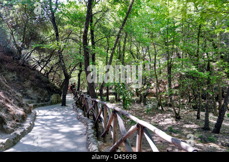 Rhodos. Griechenland. Rustikal, frische grüne Landschaft Pfad in das Tal der Schmetterlinge (Petaloudes). Stockfoto