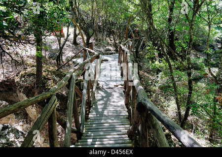 Rhodos. Griechenland. Rustikal, frische grüne Landschaft Pfad in das Tal der Schmetterlinge (Petaloudes). Stockfoto