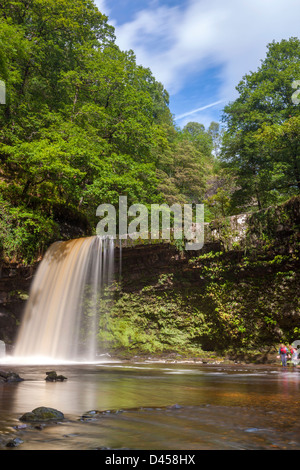 Sgwd Gwladys oder Dame fällt, Afon Pyrddin in der Nähe von Pontneddfechan, Brecon Beacons National Park, Powys, Wales, UK, Europa. Stockfoto