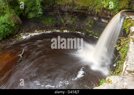 Sgwd Gwladys oder Dame fällt, Afon Pyrddin in der Nähe von Pontneddfechan, Brecon Beacons National Park, Powys, Wales, UK, Europa. Stockfoto