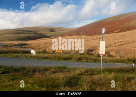 Entfernten Bushaltestelle auf der Bergstraße im Elan-Tal mit einsame Schafe weiden im Hintergrund in der Nähe von Rhayader Powys Mid Wales UK Stockfoto