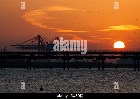 Coryton, Essex. 5. März 2013.  Die Sonne geht hinter die neue Krane bei DP Thames Gateway Container terminal, die noch im Bau befindet. Die Kraniche stehen auf 438ft hoch und sind derzeit installiert nur aus China angekommen. Sie können werden geglaubt, um in Großbritannien das höchste sein und vier Container gleichzeitig um die größten Schiffe effizient zu bewältigen. Bildnachweis: Allsorts Stock Foto / Alamy Live News Stockfoto