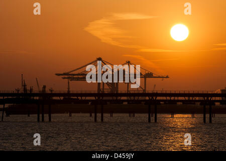 Coryton, Essex. 5. März 2013.  Die Sonne geht hinter die neue Krane bei DP Thames Gateway Container terminal, die noch im Bau befindet. Die Kraniche stehen auf 438ft hoch und sind derzeit installiert nur aus China angekommen. Sie können werden geglaubt, um in Großbritannien das höchste sein und vier Container gleichzeitig um die größten Schiffe effizient zu bewältigen. Bildnachweis: Allsorts Stock Foto / Alamy Live News Stockfoto
