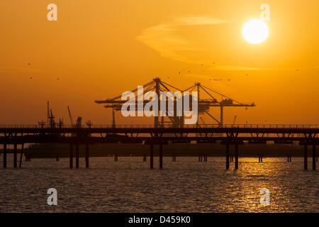 Coryton, Essex. 5. März 2013.  Die Sonne geht hinter die neue Krane bei DP Thames Gateway Container terminal, die noch im Bau befindet. Die Kraniche stehen auf 438ft hoch und sind derzeit installiert nur aus China angekommen. Sie können werden geglaubt, um in Großbritannien das höchste sein und vier Container gleichzeitig um die größten Schiffe effizient zu bewältigen. Bildnachweis: Allsorts Stock Foto / Alamy Live News Stockfoto