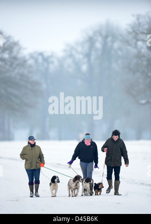 Drei junge Menschen trainieren ihre Hunde im Badminton Park, Gloucestershire UK Stockfoto