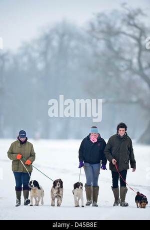 Drei junge Menschen trainieren ihre Hunde im Badminton Park, Gloucestershire UK Stockfoto