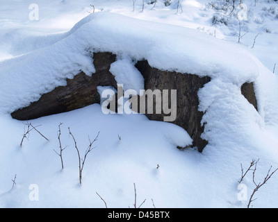 im Winter verschneiten stumpf Stockfoto