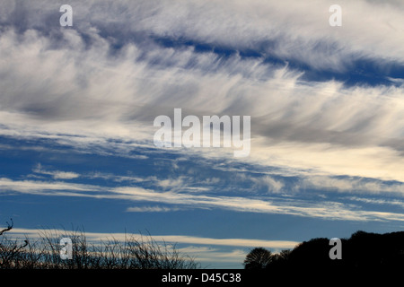 Cirrus ist eine Gattung der atmosphärischen Cloud in der Regel gekennzeichnet durch dünne, wispy Stränge, geben der Art seinen Namen aus dem lateinischen. Stockfoto