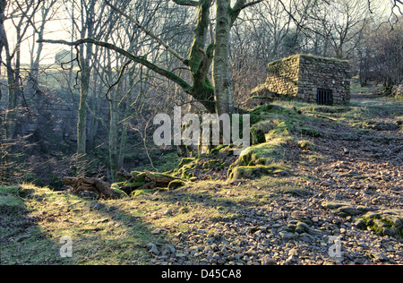 Kalkofen bei Flinter Gill in Dent, in den Yorkshire Dales National Park Stockfoto