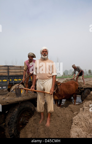 Traditionell gekleidete Punjabi Arbeiter mit Vieh Karren nehmen Sand aus dem Fluss in Punjab, Indien Stockfoto