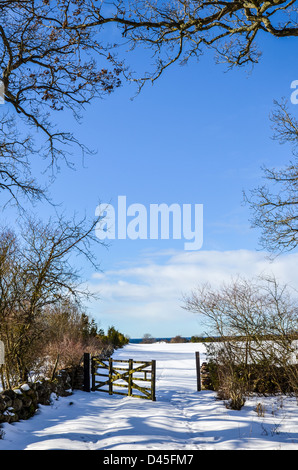 Altes Holztor in ein Feld im Winter in einer ländlichen Landschaft offen Stockfoto