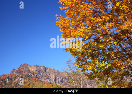 Mt. Togakushi Herbstlaub in Nagano, Japan Stockfoto