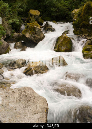 Auf der Lake Marian Marian fällt verfolgen, Marian Creek, Fiordland-Nationalpark, Southland, Neuseeland Stockfoto