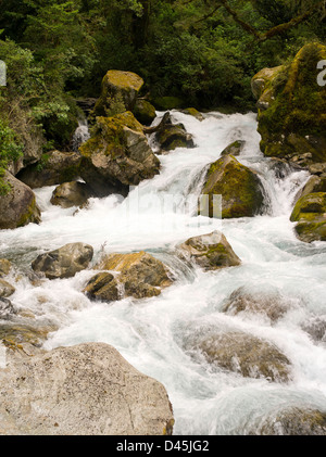 Auf der Lake Marian Marian fällt verfolgen, Marian Creek, Fiordland-Nationalpark, Southland, Neuseeland Stockfoto