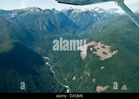 Eine Luftaufnahme einer klaren Ansicht über einem Flusstal im Great Bear Rainforest, nahe der Stadt Bella Coola, British Columbia, Kanada. Stockfoto