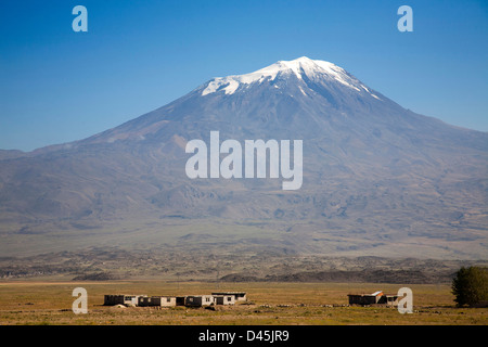 Berg Ararat, Dogubayazit, Nord-Ost-Anatolien, Türkei, Asien Stockfoto