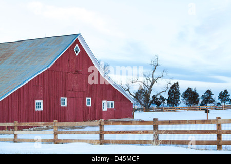 Alte rote Scheune an der 17 Mile House Farm Park, Colorado. Stockfoto