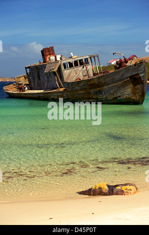 Ein verfallenes Boot gestrandet auf New Island auf den Falkland-Inseln Stockfoto