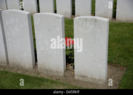 Rote rose zwischen Gräbern in Brandhoek New Soldatenfriedhof einen britischen ersten Weltkrieg Friedhof in Flandern in der Nähe von Ypern oder Ieper Stockfoto