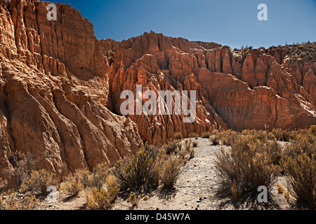 Erosion-Landschaft in der Nähe von Tupiza, roten Felsformationen in den Canon Del Inca, Tupiza Chichas Range, Bolivien, Südamerika Stockfoto